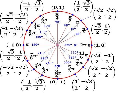 niche bort: Circulo unitario, Funciones trigonometricas de los angulos