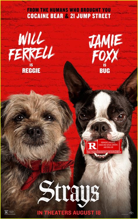 Will Ferrell & Jamie Foxx Play Foul-Mouthed Dogs in R-Rated Comedy 'Strays' - Watch the Trailer ...