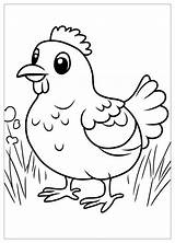 Chicken Coloring Pages  Fun For All Ages With Printable Illustrations sketch template