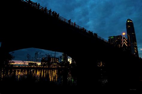 The Bat Bridge Austin Texas Photograph by Betsy Knapp - Fine Art America