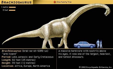 Brachiosaurus - Kids | Britannica Kids | Homework Help