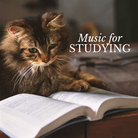 Classical Music for Studying & Brain Power - Halidon