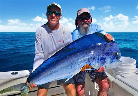 What Are The Benefits Of Deep Sea Fishing In Tulum? - bitbitbyte