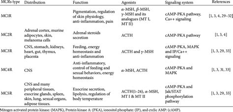 Melanocortin receptors (MCRs), their agonists, function, signaling... | Download Table