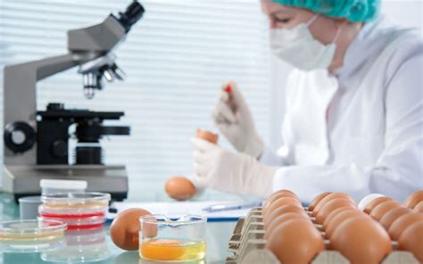 Salmonella & Eggs: Causes, Regulations, and Taking Action - Hospitality ...