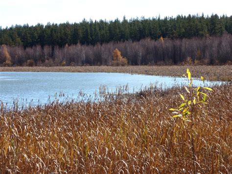 We Discover Canada And Beyond: Meadow Lake Provincial Park