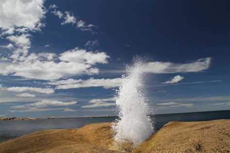 The Blowhole, Bicheno, Tasmania | Country roads, Tasmania, Country