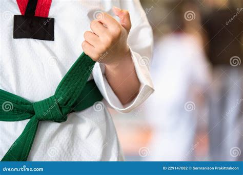 Taekwondo Kids stock photo. Image of battle, guards - 229147082