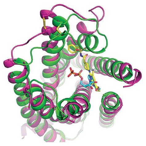 Protein-Target-Clot-Preventing-Drugs