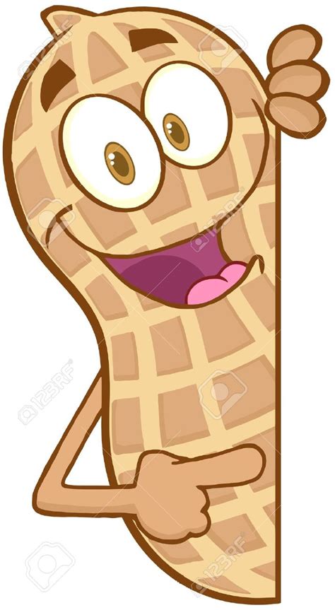 Peanut clipart - Clipground