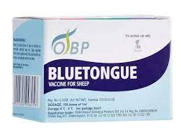 Obp Vaccine Blue Tongue 100ml | Agrimark