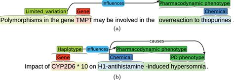 Two annotated sentences of PGxCorpus. Sentence (a) encompasses a... | Download Scientific Diagram