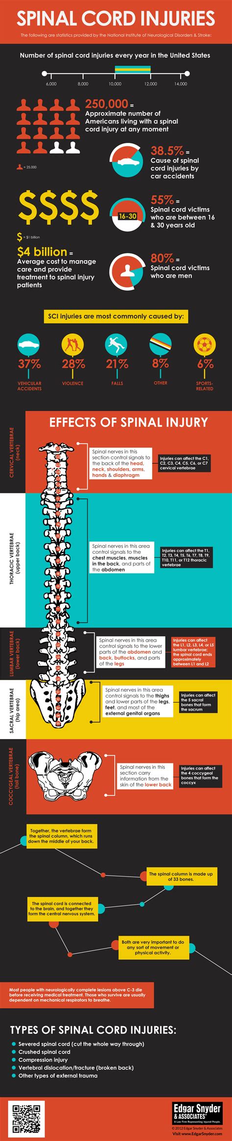 Spinal Cord Injury - Infographic