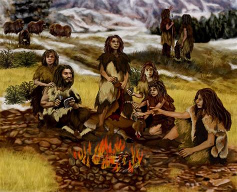 Early Modern Humans Cooked and Ate Starchy Food | Sci.News