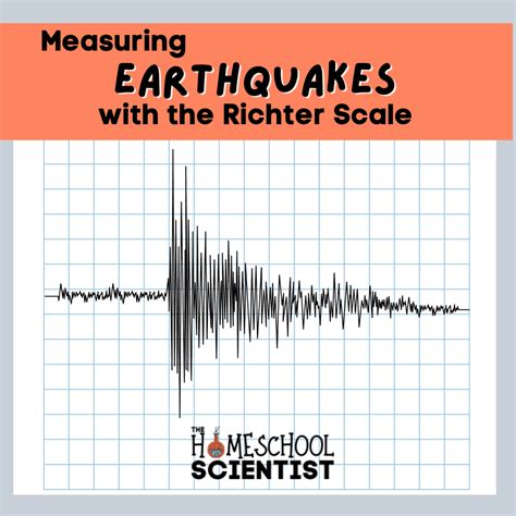 What Is A Scale For Kids