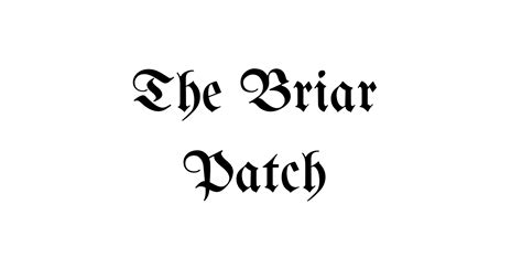 About – The Briar Patch – Medium