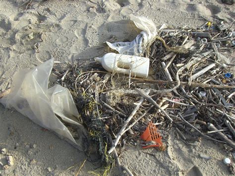 Plastik in den Ozeanen - Nachhaltigkeit Artikel » Serlo.org