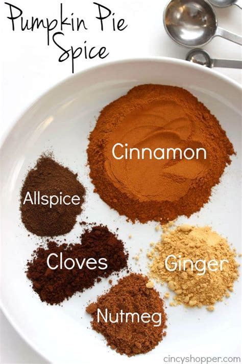 Homemade Pumpkin Pie Spice - CincyShopper