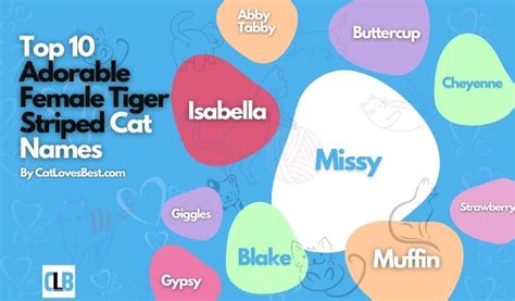 600+ Tiger Striped Cat Names for Both Male & Female Kitties