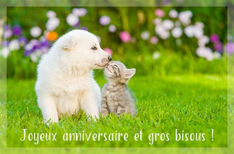 Cartes virtuelles d anniversaire gratuite - Joliecarte | Dyr, Kattunger, Dataspill