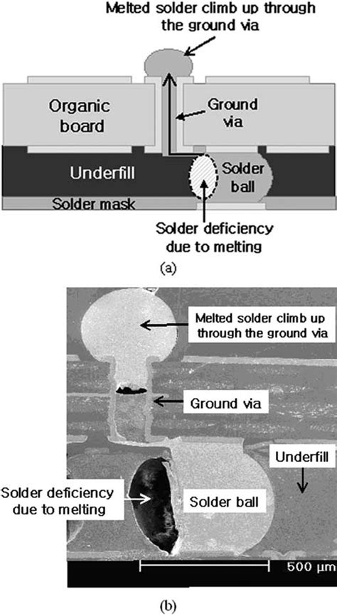 (a) Schematic picture and (b) SEM photograph of eutectic Pb–Sn solder ...