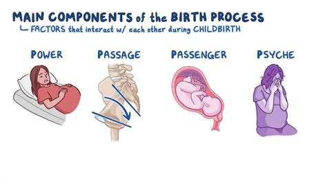 Stages Of Labor Nursing School Pinterest Nursing School