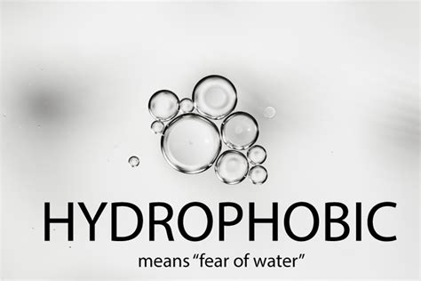 What is Hydrophobic