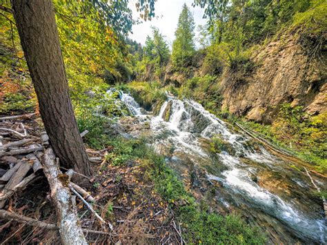 Black Hills National Forest - The Adventures of Trail & Hitch