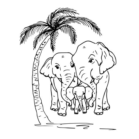 Cute animals elephant family drawing doodle style. Ecology animal ...