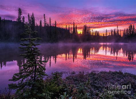 Mount Rainier Reflection Lakes Frosted Sunrise Mist Photograph by Mike ...