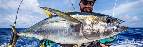 Yellowfin Tuna Fishing | Big Game & Blue Water | Sportquest Holidays