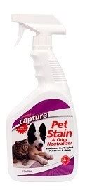 Best Carpet Cleaner for Cat Vomit: 5 Effective Products