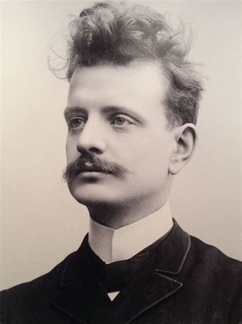 A young Sibelius with crazy hair. | Musician portraits, Famous composers, Classical music composers