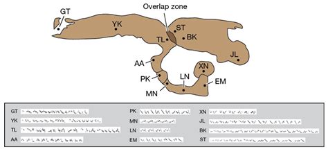 [Solved] A ring species is a ring of populations that encircles an area of... | Course Hero