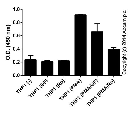 PKC Kinase Activity Assay Kit (ab139437) | Abcam