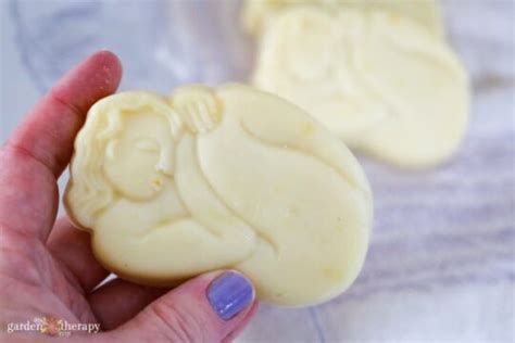 Budget-Friendly Soap Making With Lard Soap - Garden Therapy