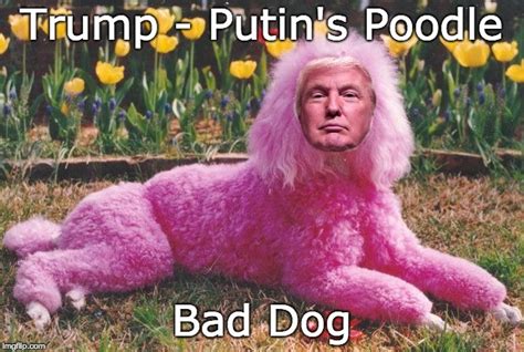 Trump - Putin's Poodle - Imgflip