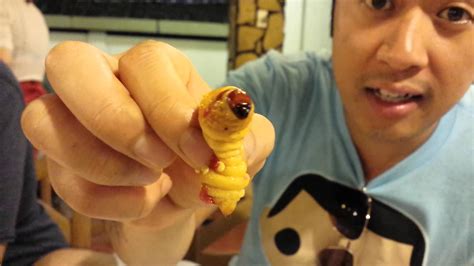 Eating Live Larvae Coconut Worm Vietnam 2014 | Coconut, Worm cute, Larvae