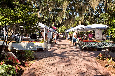 Living in Tallahassee | Center for Global Engagement