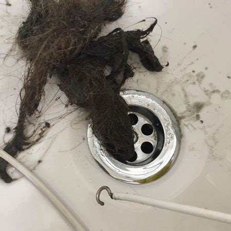 Bathroom Sink Clogged With Hair – Everything Bathroom