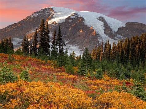 Fall in Paradise, Mount Rainier National Park photo on Sunsurfer