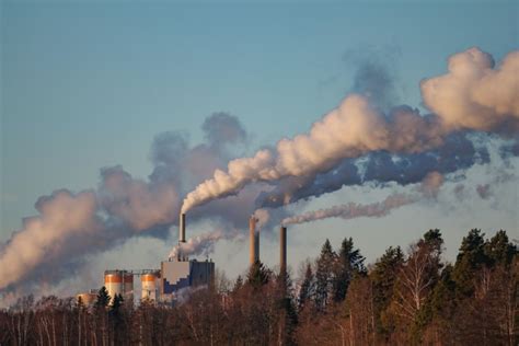 Understanding the Effects of Air Pollution on Human Health - Environment Co