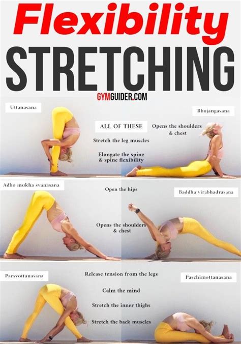 Which Is the Best Statement About Joint Flexibility - Mike-has-Ballard