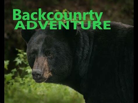 Backcountry movie review spoiler alert hiking Adventure Beer Ending Read for more👇👌👍🤟 - YouTube