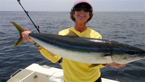 Panama's Best Rainbow Runner Photos - Come Fish Panama