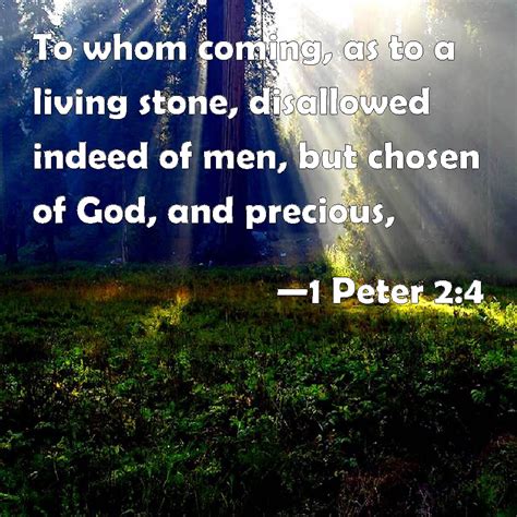 1 Peter 2:4 To whom coming, as to a living stone, disallowed indeed of men, but chosen of God ...