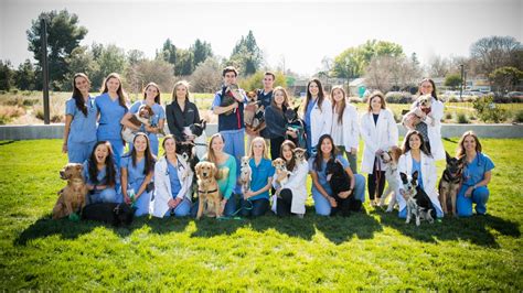 UC Davis Holds Top Spot in US News Veterinary School Rankings | School ...