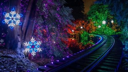 Stanley Park Train: More Bright Nights tickets soon available | CTV News