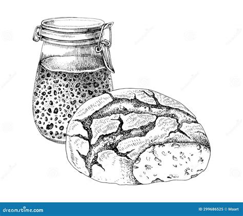 Sourdough Starter In Glass Jar Vector | CartoonDealer.com #299686525