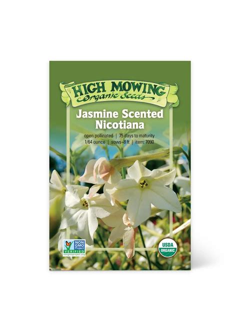 Jasmine Scented Nicotiana Organic Seeds | Gardeners.com